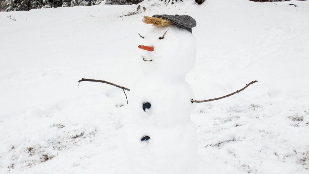 EPIC SNOW is melting, WHAT'S NEXT on the Homestead!