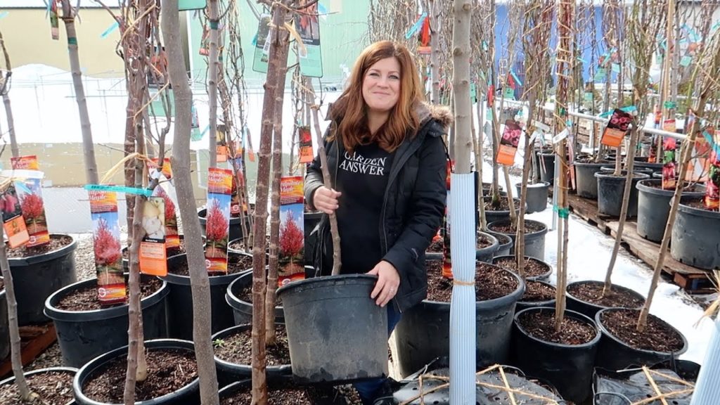 First Tree Load of 2021! 🌳🙌💚 // Garden Answer