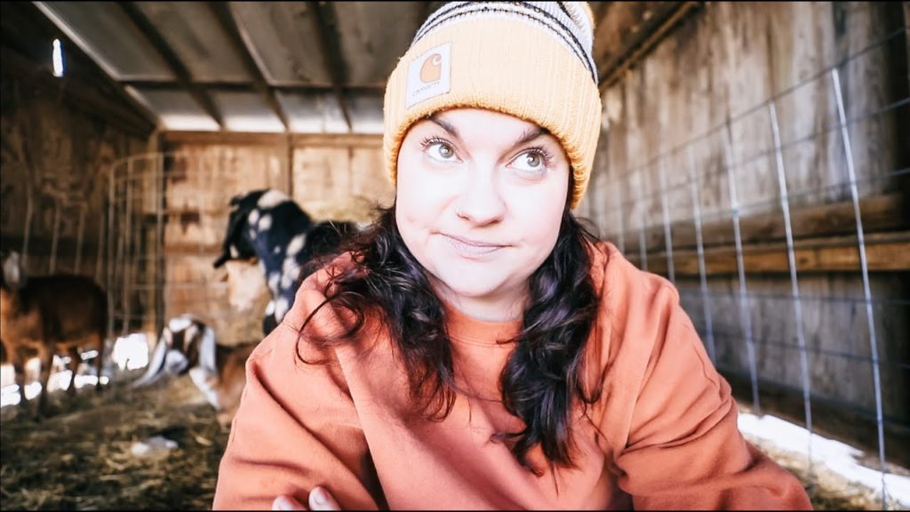 Well, It's not what I wanted (but I'm glad they're ok) | VLOG