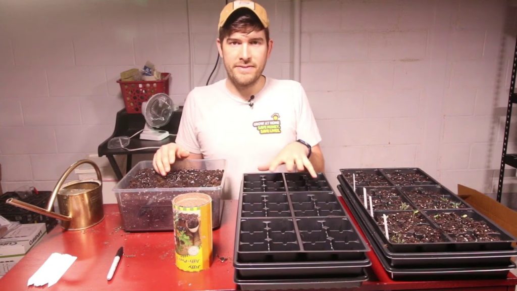 STOP Using Peat Pots to Start Seeds - Here’s Why.