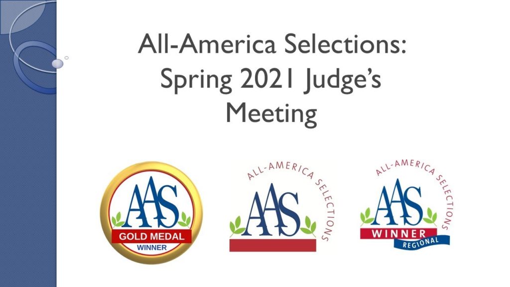 2021 AAS Judge's Spring Meeting