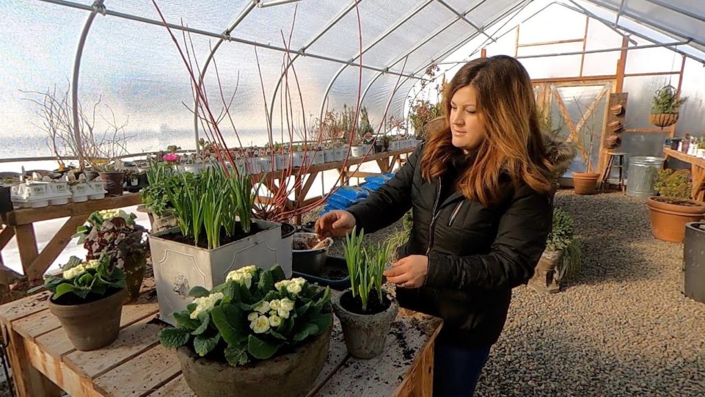 Spring Flowers + Potting Up Artichokes & Ornamental Kale! 🌿🌸 // Garden Answer