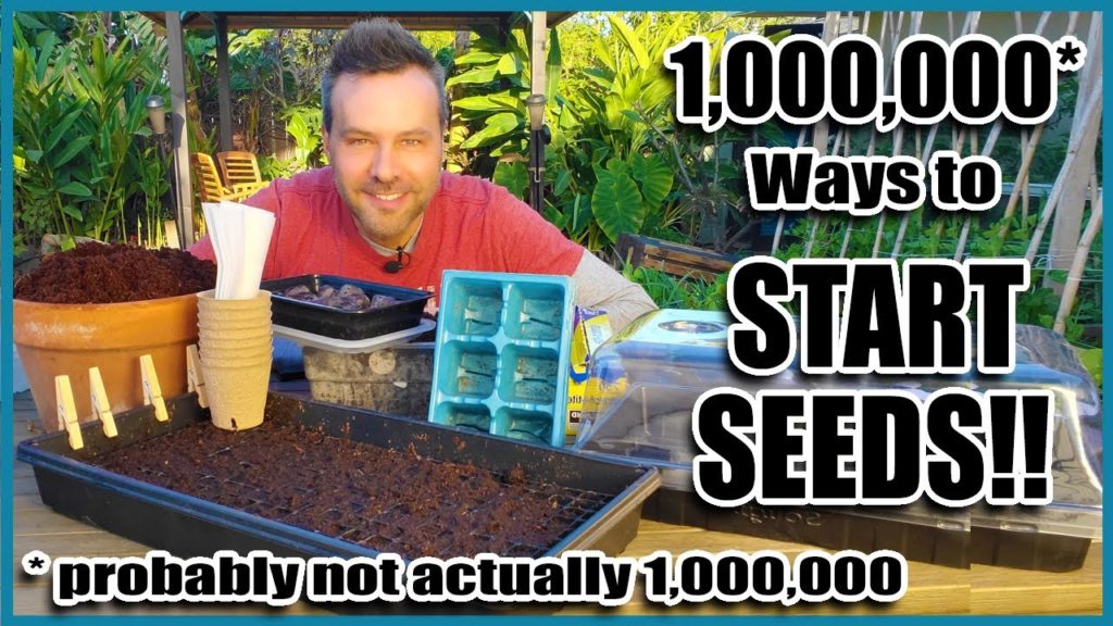 California Garden TV: A Million Ways to Start Seeds // Seed Starting 101 A Million Ways to Start Seeds // Seed Starting 101