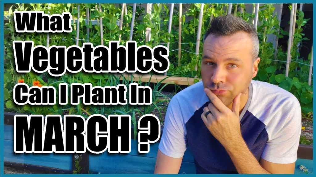 What Vegetables Can I Plant in March?