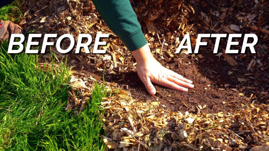 How To Get Rid Of Gnarly Weeds (Without Spraying) 🚫 🌾