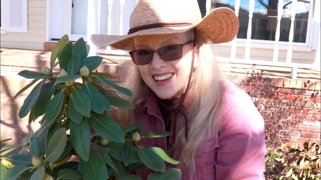 Kaye Kittrell: FIRST GARDEN DAY on the new HOMESTEAD FIRST GARDEN DAY on the new HOMESTEAD