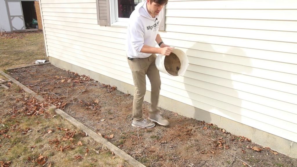 Completely Re-doing Our Berry Bed