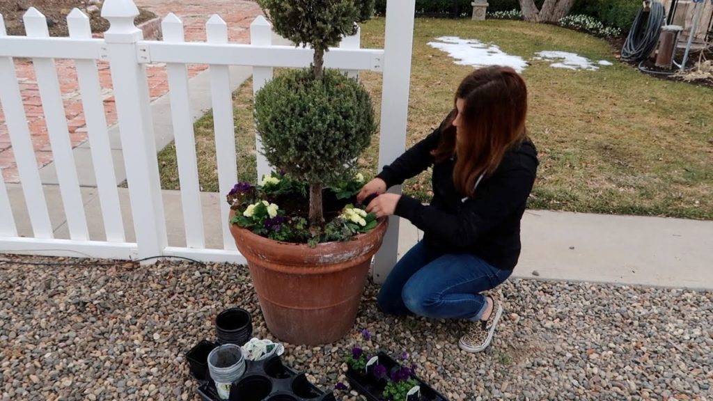 Planting Pots, Herb Starts & Begonias + Studio & Seedling Tour! 🌿🥰 // Garden Answer