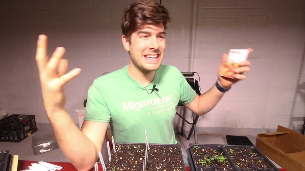 We let a Computer Pick The Tomatoes We Grew This Year (This is What it Picked)