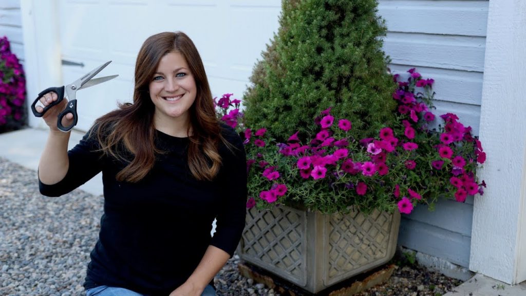 Garden Answer: How to Trim Annuals Mid-Season 🌿🌸// Garden Answer How to Trim Annuals Mid-Season 🌿🌸// Garden Answer