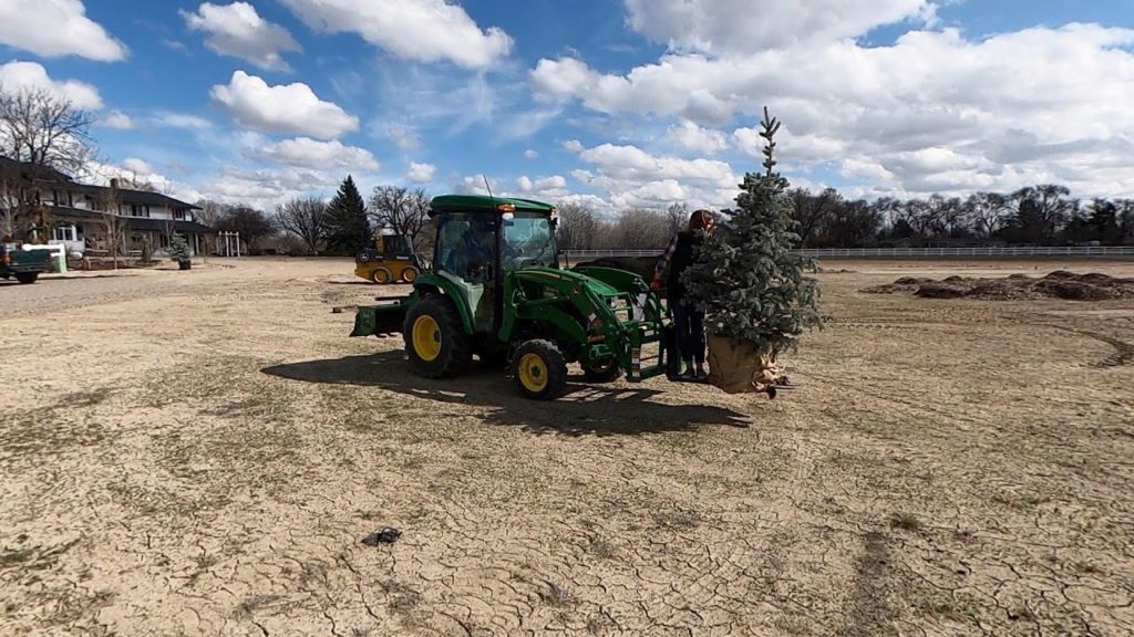 Garden Answer: An Easy Easter Project, Winter Sowing Update & Placing Trees! 🐣🌿🌳 // Garden Answer An Easy Easter Project, Winter Sowing Update & Placing Trees! 🐣🌿🌳 // Garden Answer