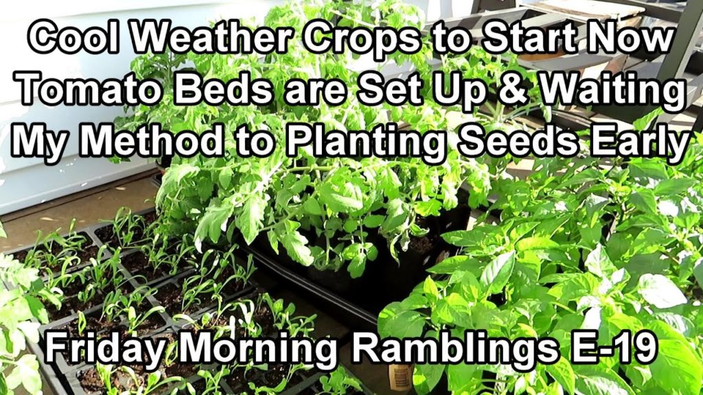 4 Crops to Start Now, Tomato Beds Are Set & Waiting, Early Seed Sowing: FM Garden Ramblings  E-18