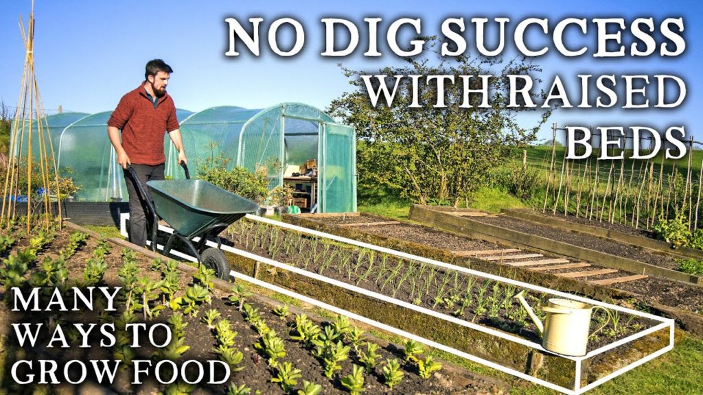 Productive NO DIG Vegetable Gardening in Raised Beds with Sides | Benefits, Tips and Suggestions