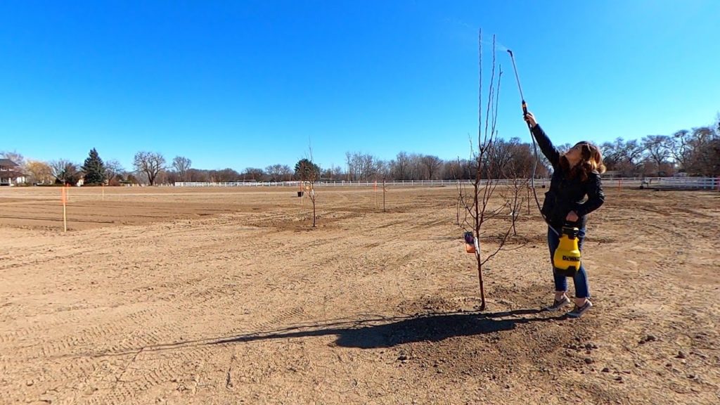Spraying our Fruit Trees: Dormant Oil/Liquid Cooper for Overwintering Insects & Disease! 🌳🍎👩‍🌾