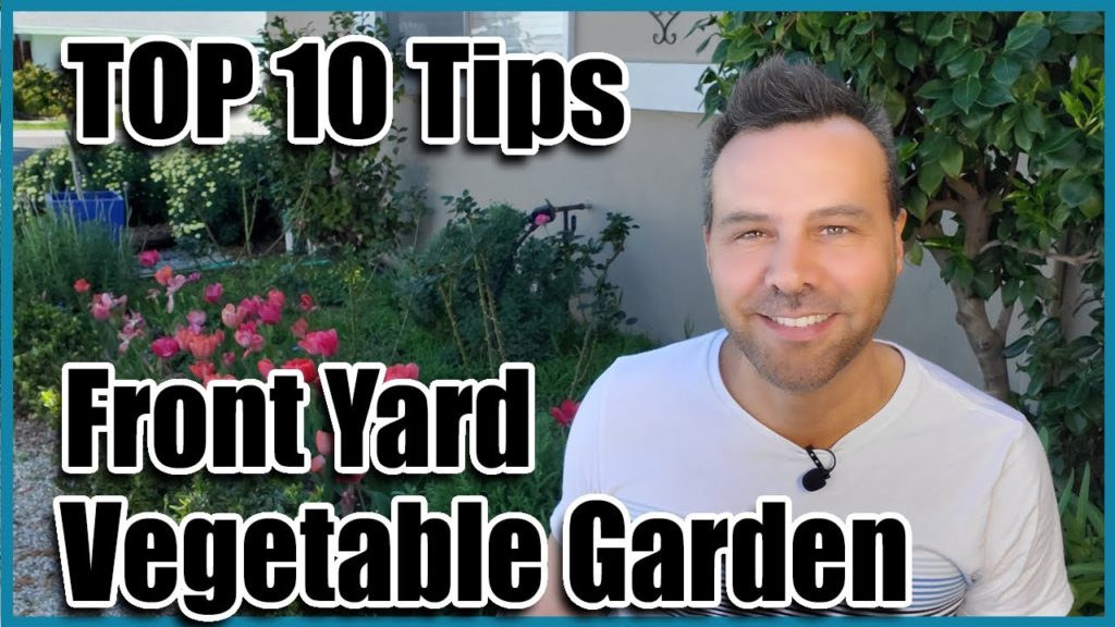 California Garden TV: Top 10 Tips to Start Your Front Yard Vegetable Garden (Edible Landscaping) Top 10 Tips to Start Your Front Yard Vegetable Garden (Edible Landscaping)