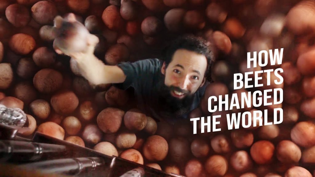 Siloé Oliveira: How BEETS Changed the World – SEED to HARVEST – Garden Documentary How BEETS Changed the World - SEED to HARVEST - Garden Documentary