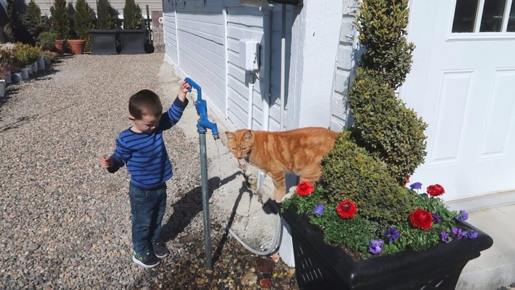 Planting RED Flowers 😳 + Mulching the Cut Flower Garden! ❤️🙌💚// Garden Answer