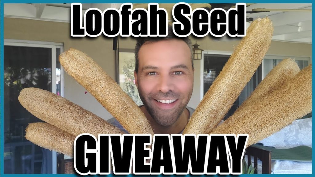 California Garden TV: Loofah Seed Giveaway. Loofah Seed Giveaway.