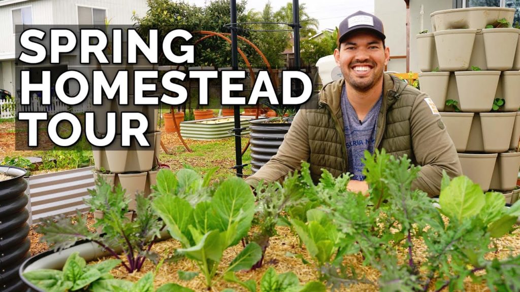 FULL Spring Garden Tour & Harvest! 🥕