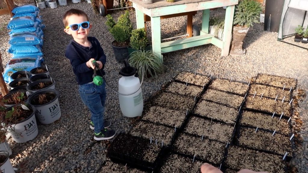 Planting 45 Varieties of Seed! 👩‍🌾🌱💚 // Garden Answer