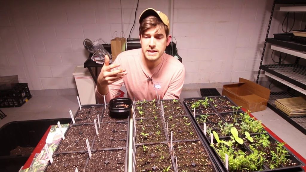 Complete Guide to Pre-soaking Seeds