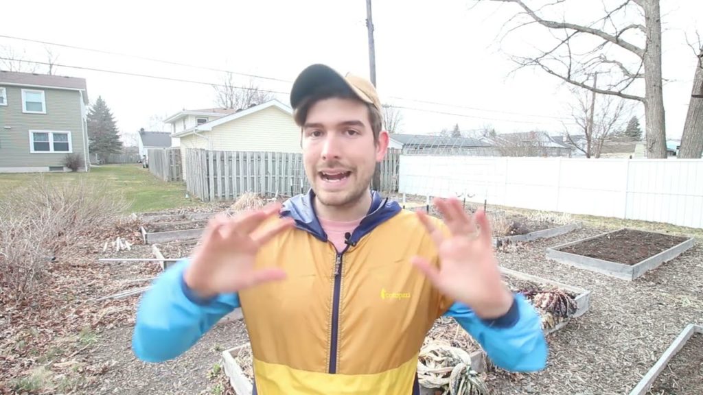 Comparing Urban Gardening Vs. Rural Gardening