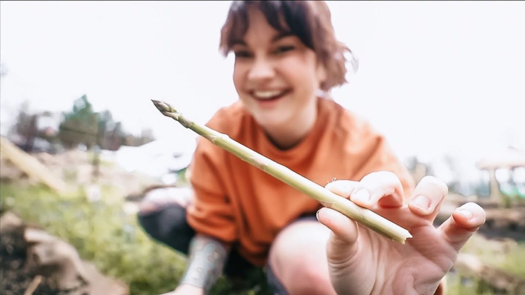 Roots and Refuge Farm: I Wish I'd Planted THIS Sooner (and guess what's back) | VLOG I Wish I'd Planted THIS Sooner (and guess what's back) | VLOG