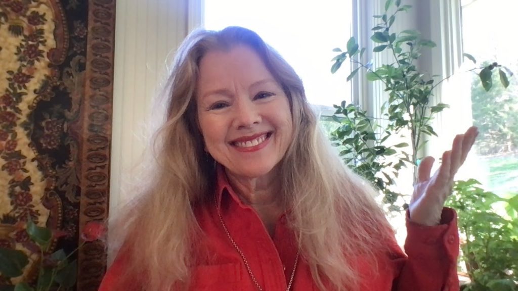 The RAISED BED GARDEN is taking shape!