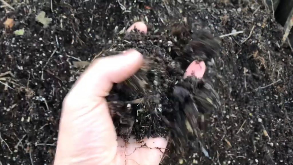 Tour of Our Compost Setup