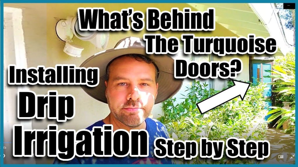 California Garden TV: Drip Irrigation Step by Step & What's Behind the Turquoise Doors? Drip Irrigation Step by Step & What's Behind the Turquoise Doors?