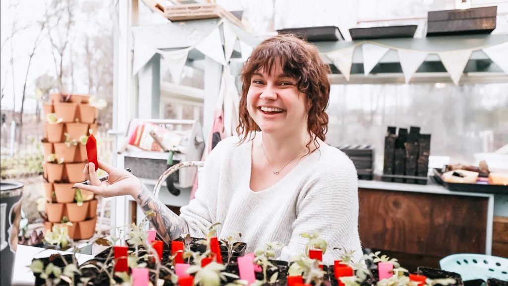 Let's Talk TOMATOES (All the varieties for my 2021 Garden)