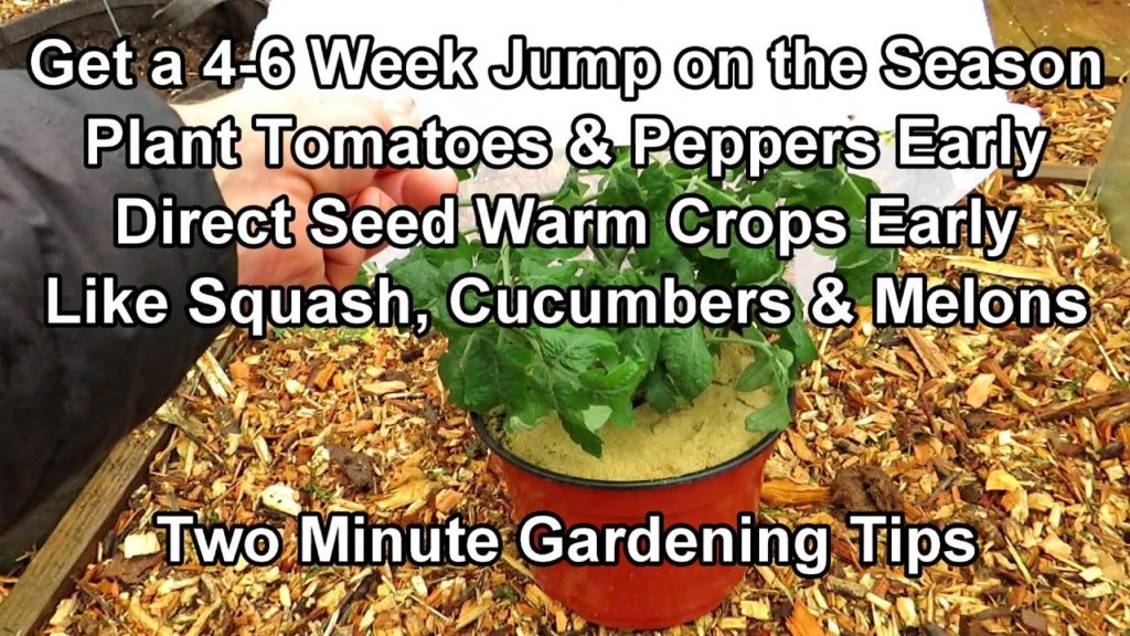 Get Your Tomato & Pepper Plants Out 4-6 Weeks Early - Mini Greenhouse Build: Two Minute TRG Tips