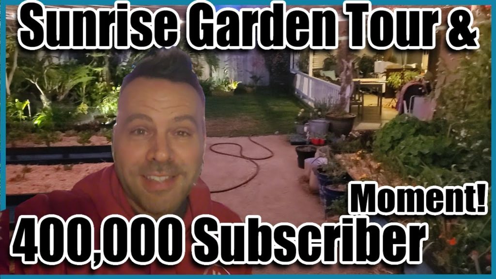 California Garden TV: Spring Full Garden Tour & My 400,000 Subscriber Moment Spring Full Garden Tour & My 400,000 Subscriber Moment