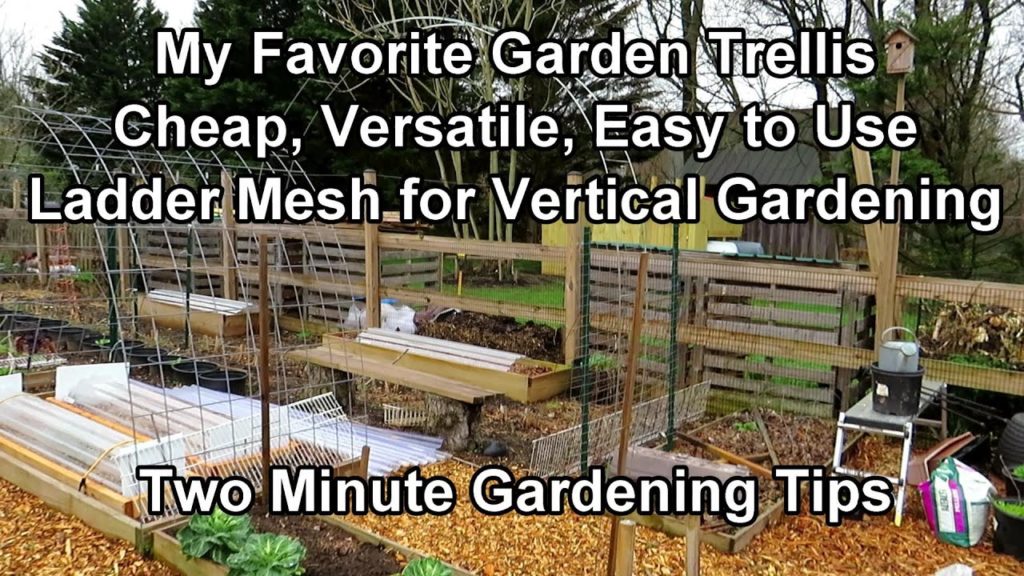 My Favorite Trellising Material for Vertical Gardening - Cheap & Easy to Use: Two Minute TRG Tips