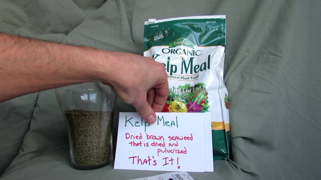 TRG 2016: Don't Over Pay For Garden Products - Kelp Meal as an Example of Cost Silliness