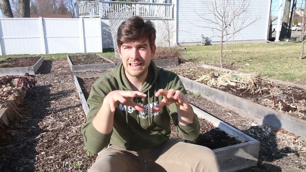 How Your SOIL Could Turn to DIRT and How to Fix It