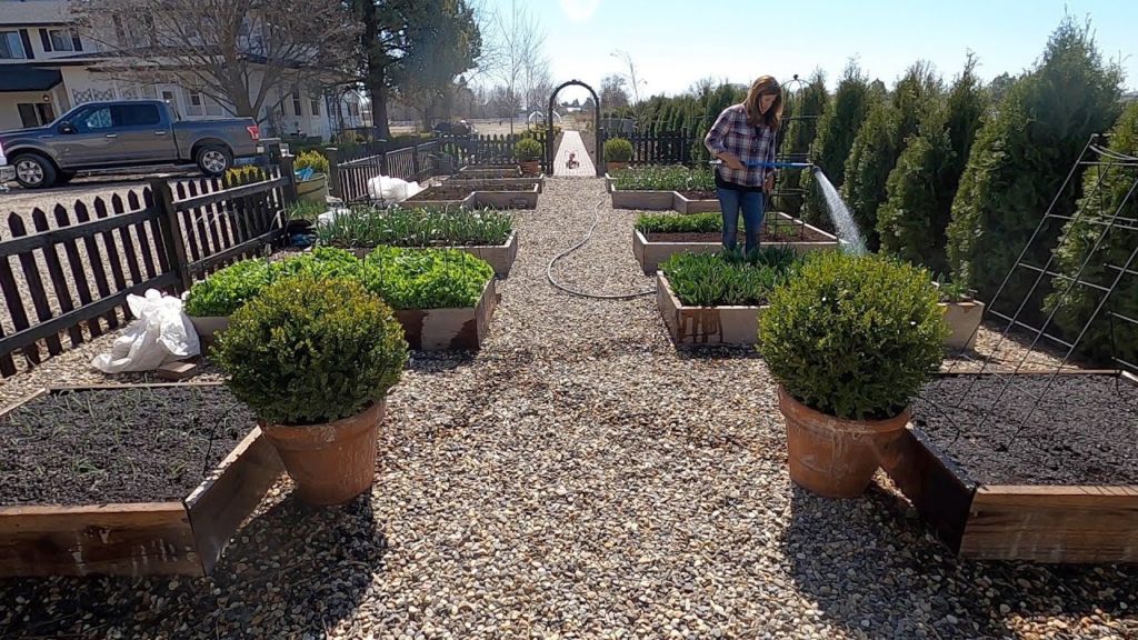 Planting Spring Crops & Starting Tomato/Flower Seed! 🥬🧅🥕 // Garden Answer