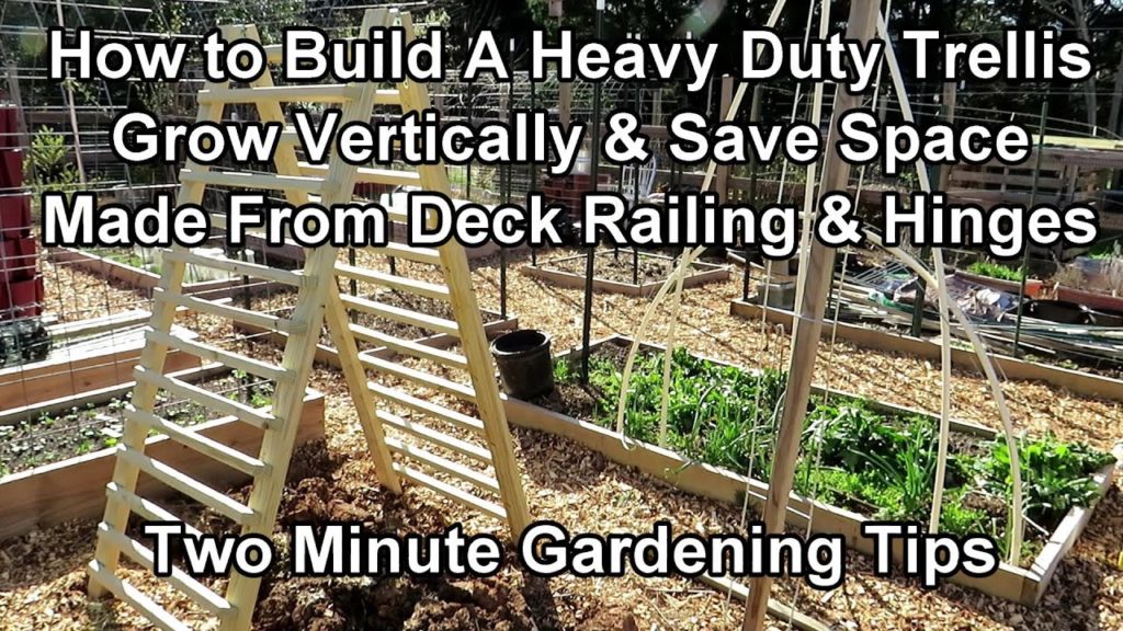 Gary Pilarchik: How to Easily Build a 6 Foot Heavy Duty Garden Trellis – Grow Vertically!: Two Minute TRG Tips How to Easily Build a 6 Foot Heavy Duty Garden Trellis - Grow Vertically!: Two Minute TRG Tips