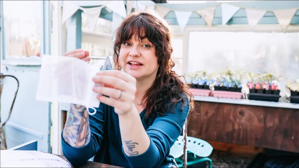 Roots and Refuge Farm: Demystifying SEED SAVING Concerns (Cross Pollination, Hybrids & How To Save SEEDS Anyway) Demystifying SEED SAVING Concerns (Cross Pollination, Hybrids & How To Save SEEDS Anyway)