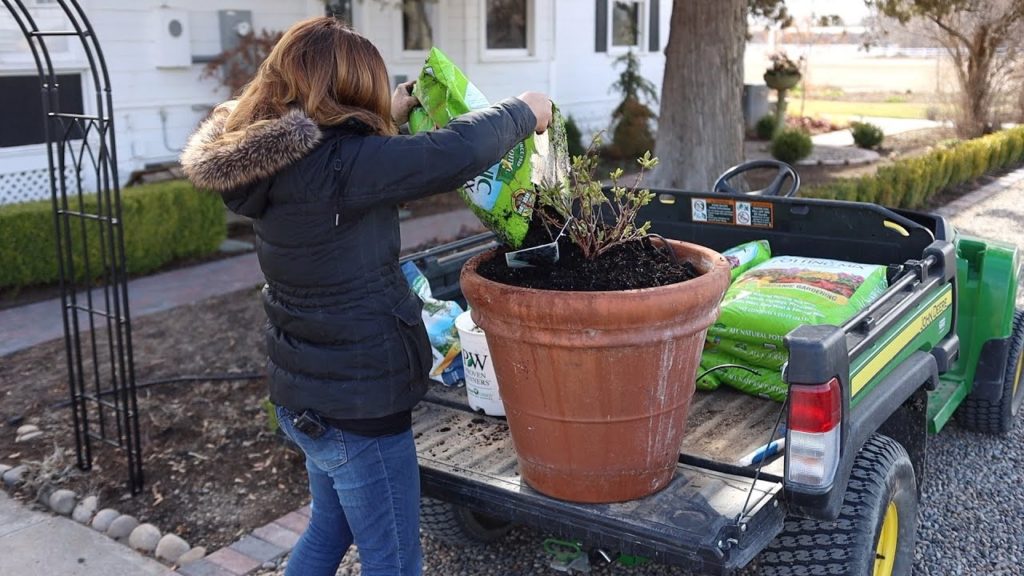 Planting Honeyberries! 🙌💙🌿 // Garden Answer