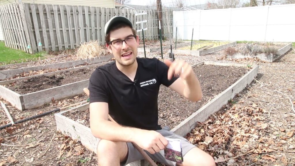 Planting in Holes Vs. Trenches - Which is Better?
