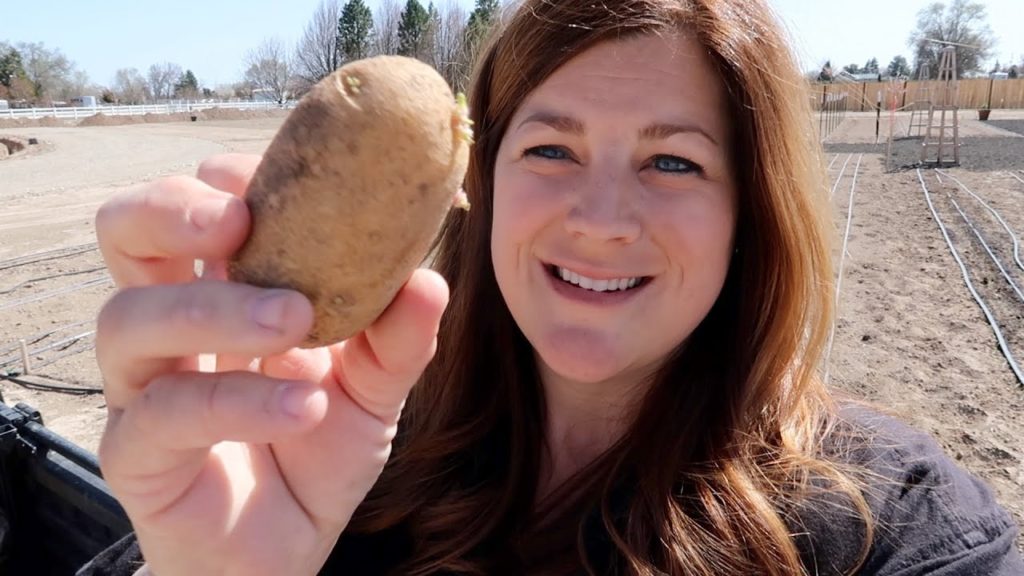 Planting Potatoes & Moving Pots! 🥔🙌🌿// Garden Answer