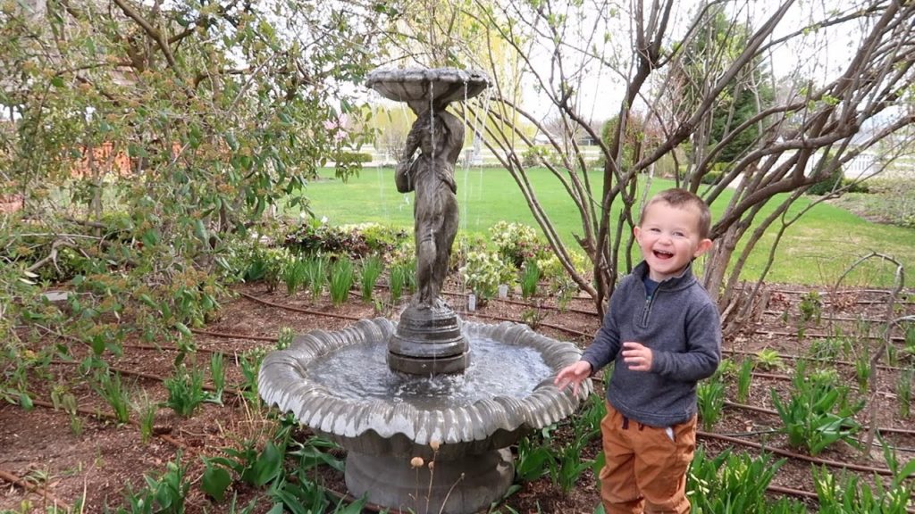 Garden Answer: Setting Up a New Fountain! ⛲️💦💙 // Garden Answer Setting Up a New Fountain! ⛲️💦💙 // Garden Answer