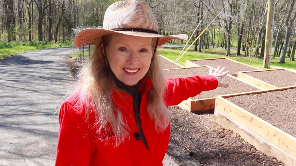 SPRING GARDEN UPDATE (seeding, hardening off, BIG PLANS, TIPS!)