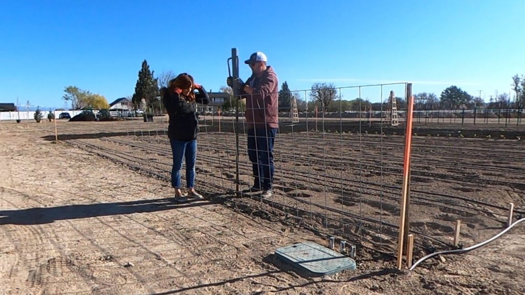 Setting Up Our Sweet Pea Trellising! 💜🌿 // Garden Answer