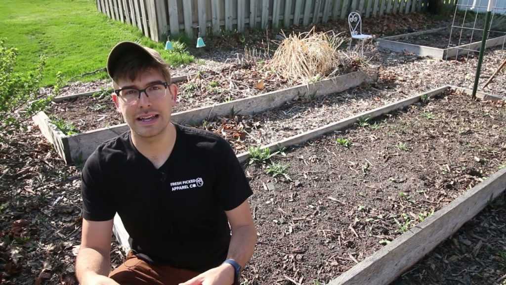 How to Control Agressive Weeds Organically Without Sprays!