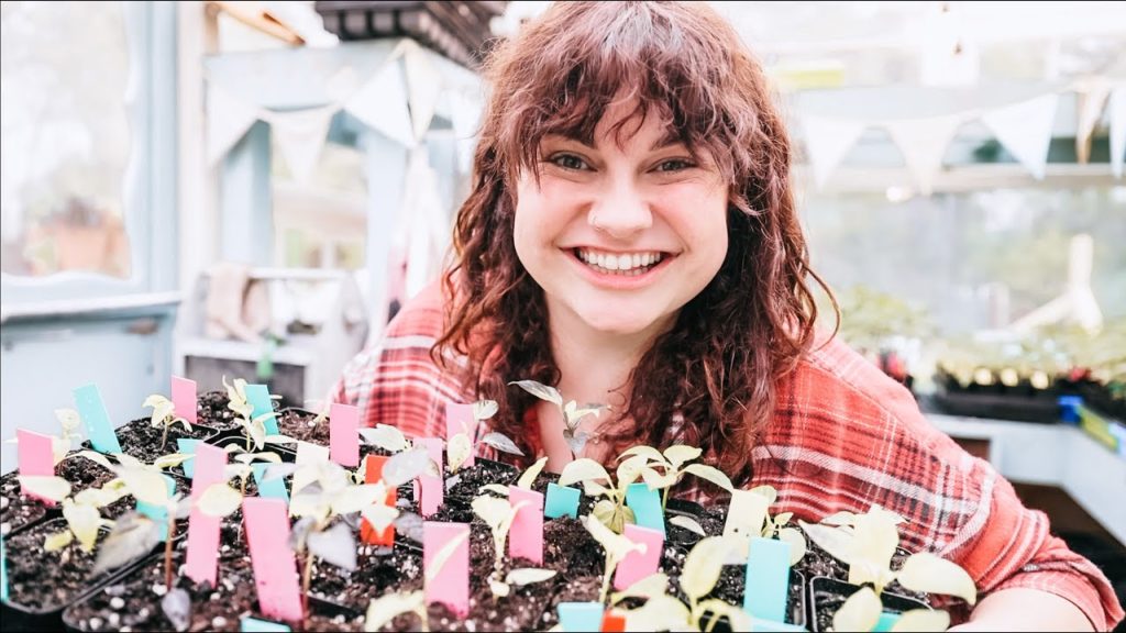 Pepper Talk while I work (The Varieties I'm growing this year)