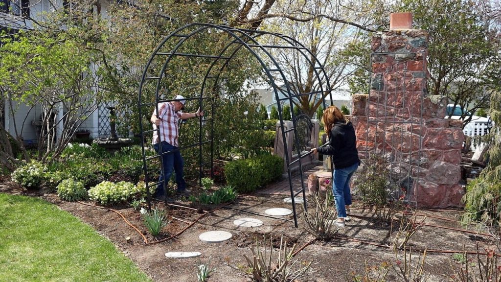 Garden Answer: A Project Gone Awry 🥴 & Transplanting a Venus Dogwood! 🌳 // Garden Answer A Project Gone Awry 🥴 & Transplanting a Venus Dogwood! 🌳 // Garden Answer