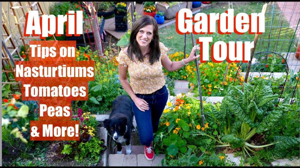 CaliKim: April Garden Tour – Tips on Nasturtiums, Peas, Tomatoes, Grapes & More! πΊ π±π
π April Garden Tour - Tips on Nasturtiums, Peas, Tomatoes, Grapes & More! πΊ π±π
π