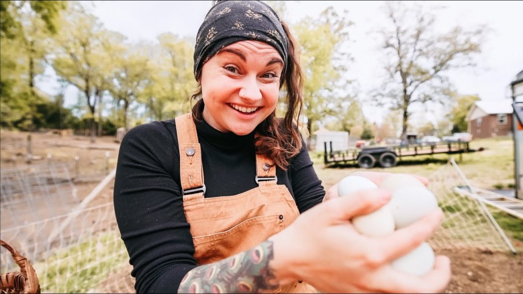 Look, that's pretty (A frost is coming) | VLOG